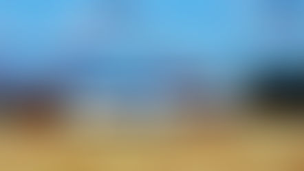 Rubrik: Wussten Sie, dass...