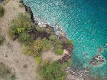Faune et flore de Guadeloupe : un écosystème unique à explorer