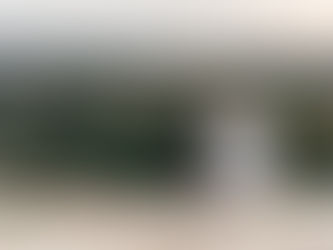 A pup enjoying nature with his person