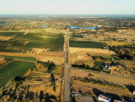 Vista aérea de terrenos rústicos
