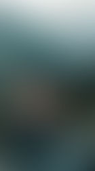 Stop Collecting Titles—Find Mentors Who Actually Show Up