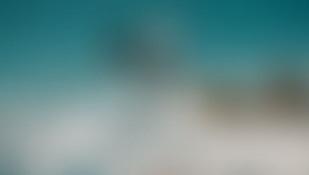 行動才是成功的關鍵!