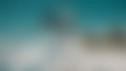 行動才是成功的關鍵!