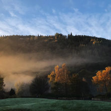 Laragh Glendalough Notes Week Beg 18th May