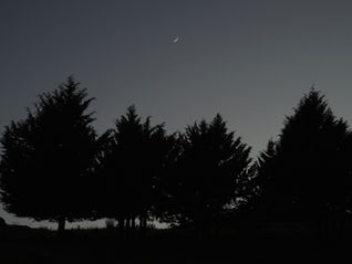 Where Shadow Meets Seed