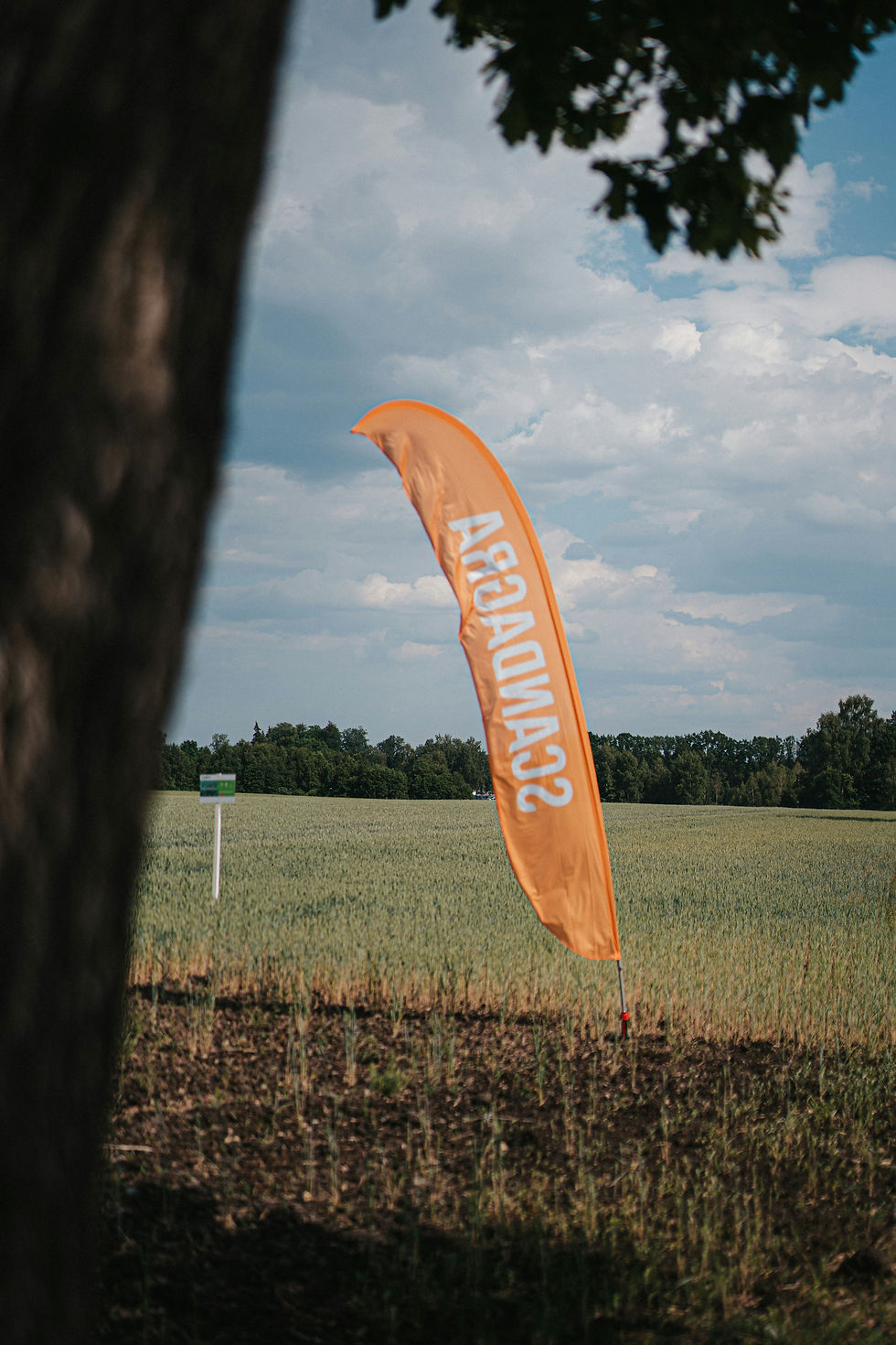 Feather Flags Printing: Expert Custom Banners for Events and Retail