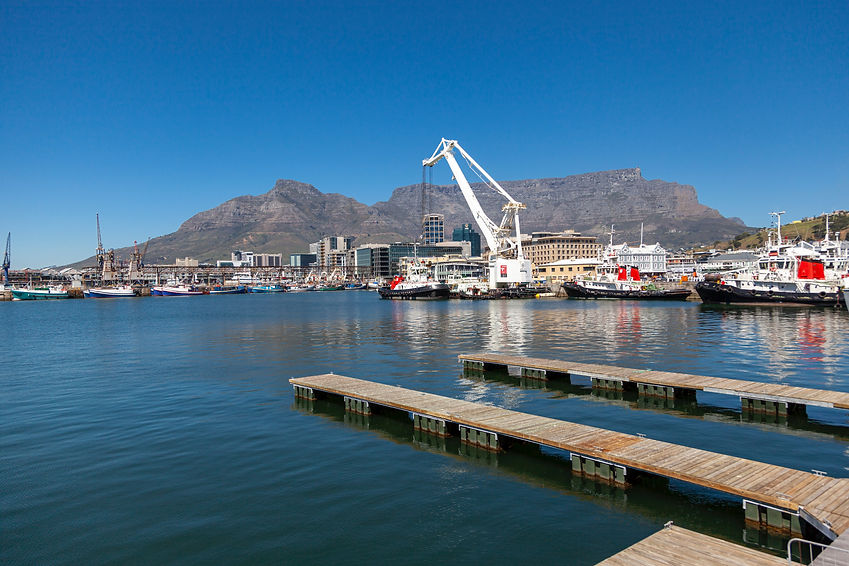 Image by Shaun Meintjes
