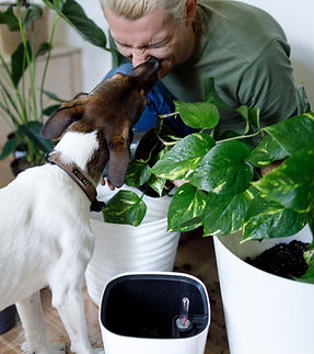 Image by vadim kaipov