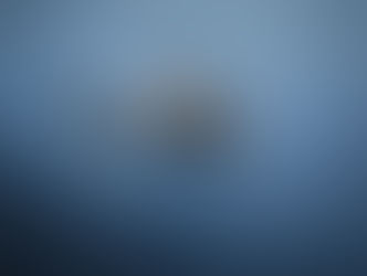 Shark attacks andsurf culture:the controversialside of online environmentalism.