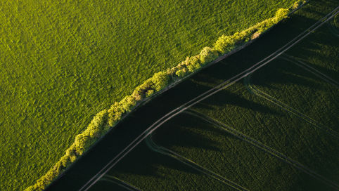 How Do Different Habitats Work Together to Support Biodiversity?