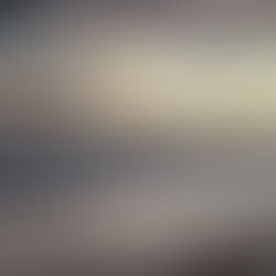 Hurricane Katrina— Unearthed my life’s purpose