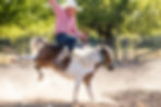 Dad/Male Barrel race