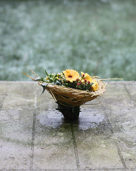 Image by Takeshi Morisato