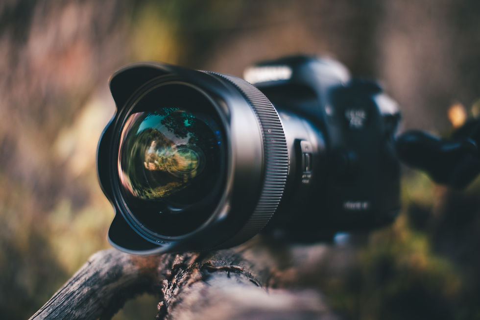 recherche photographe