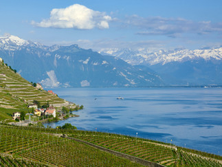 Photo by Oksana Bürki