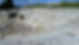 Greek Theatre Siracusa