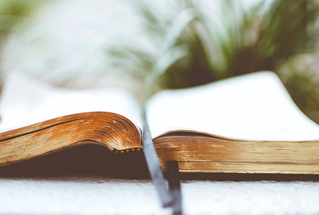Open book with many pages