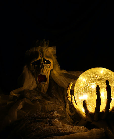 Image by Lan Gao