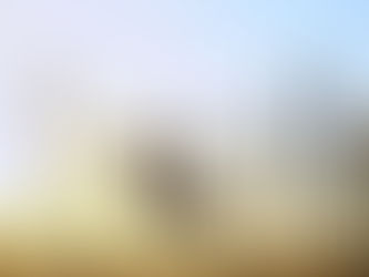 Building a Financial Safety Net for Your Business