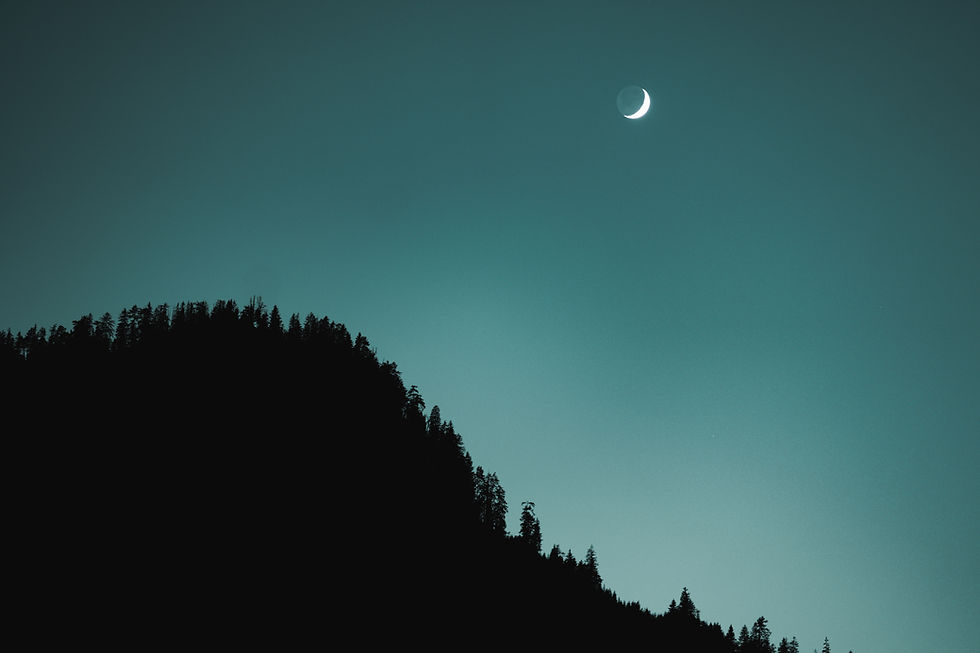 Image by Omar Ram