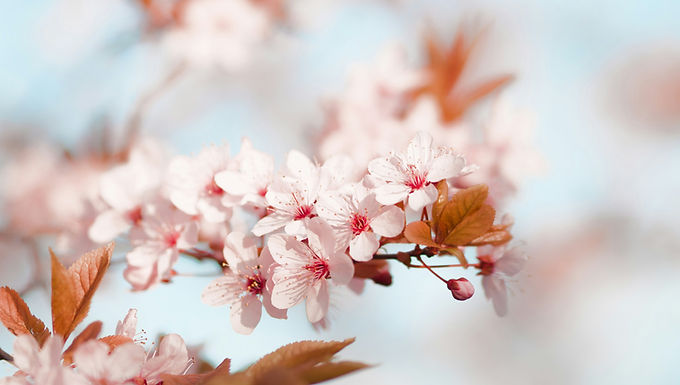 NatureThreapy®