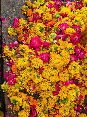 Image by Shyamli Kashyap