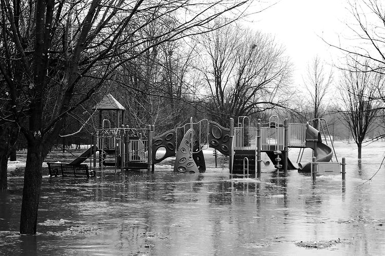 Image by Wesley Jackson