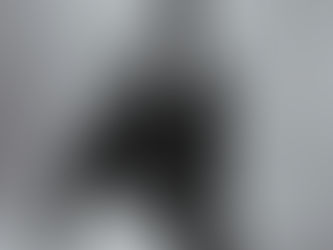 Excelencia en la Presentación Profesional