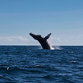 Image by Braden Egli