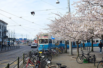 Spårvagn i göteborg med träd och cyklar