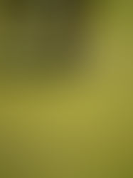 Bergen County Golf Courses