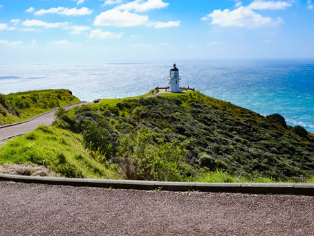 Auckland to Cape Reinga Road Trip | A 7-Day Northland Itinerary