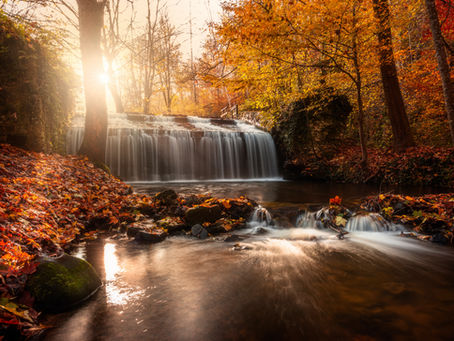 🌿 A Healing Story I Am Grateful to Share