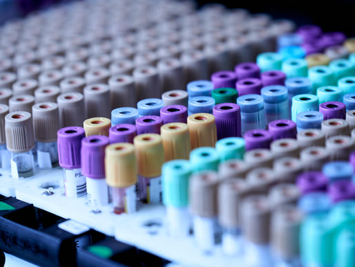 How to become a Lab Traveler
