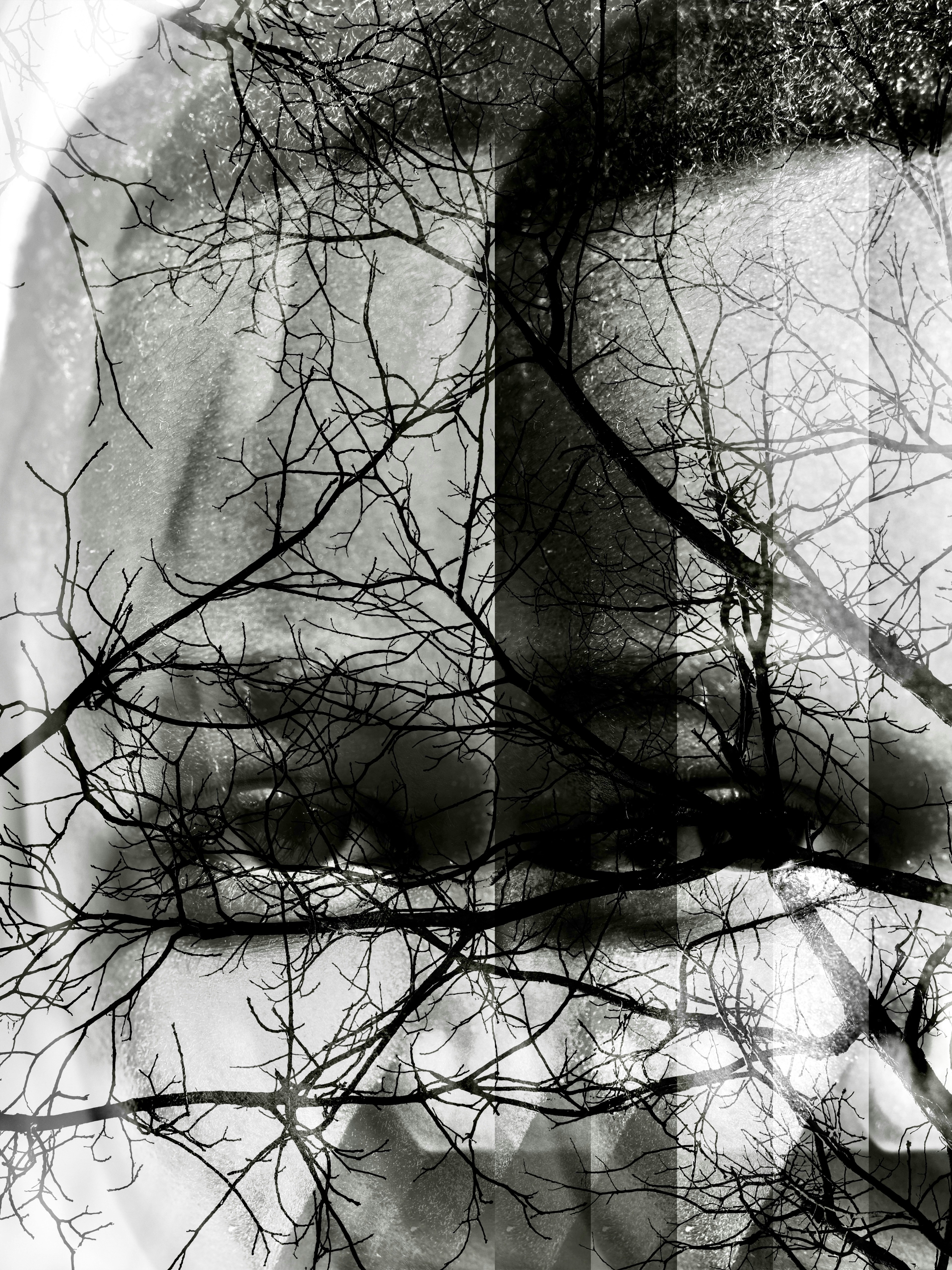Image by Sebastian Schuster