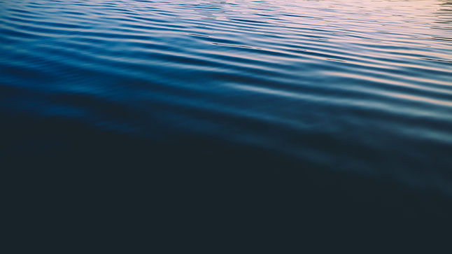 Image by Matteo Catanese