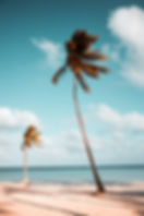 Image by Benjamin Voros