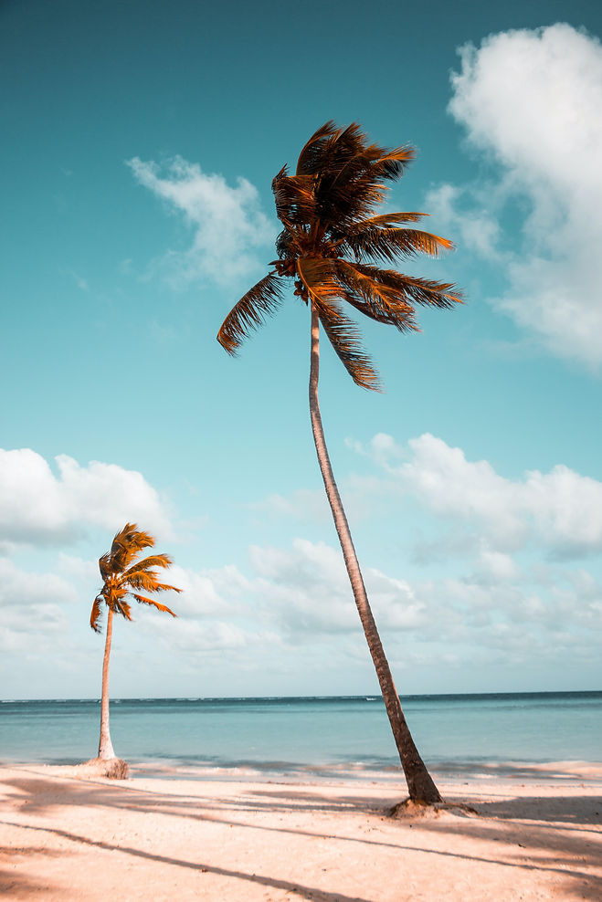 Image by Benjamin Voros