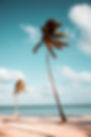 Image by Benjamin Voros