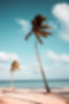Image by Benjamin Voros