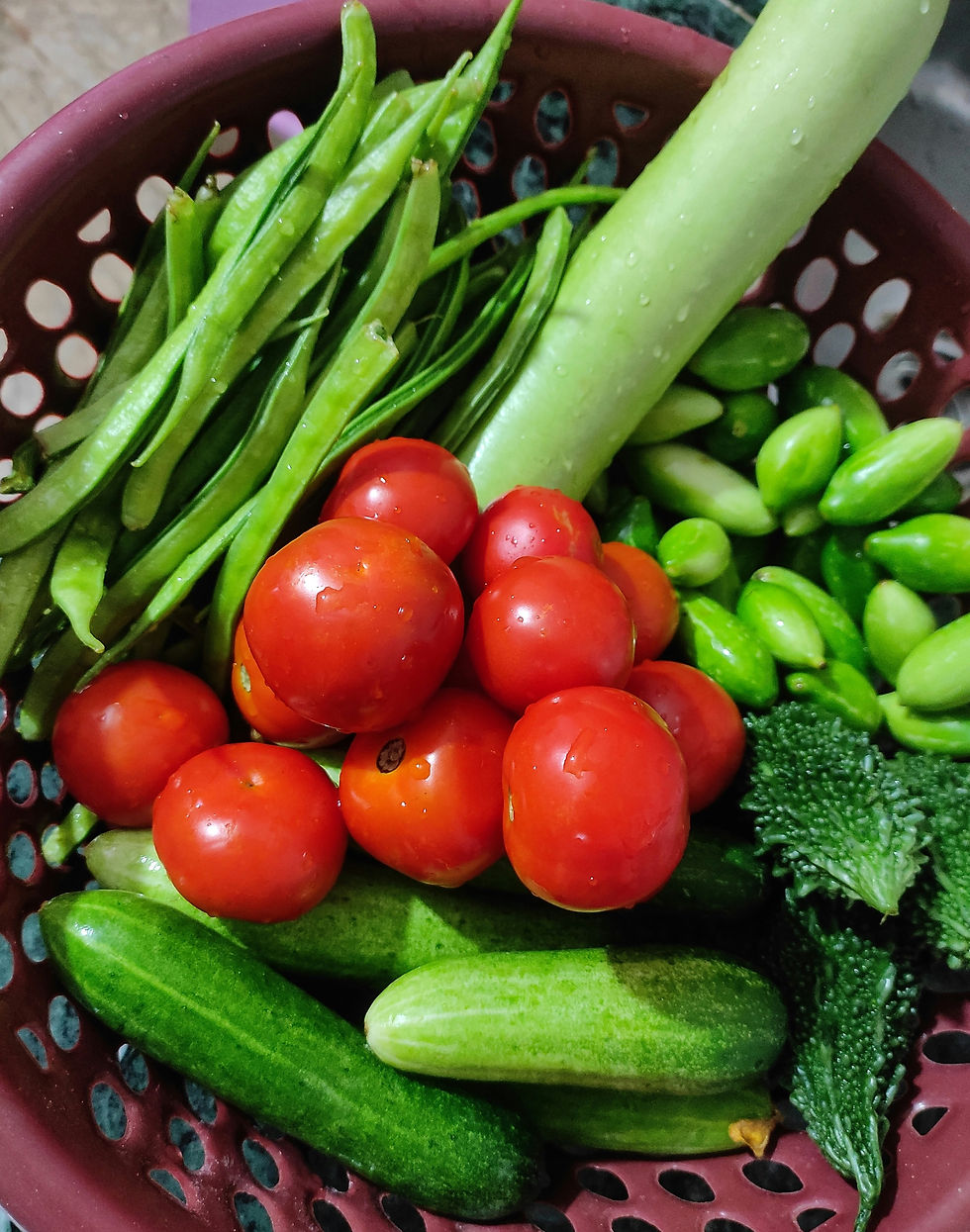 Image by Shyamli Kashyap