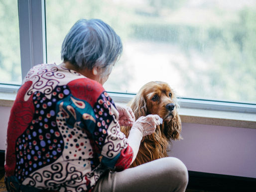 Senior woman with dog