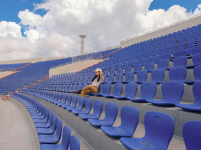She knew mentioning grammar and syntax had been a mistake. (A woman sits in an empty sports stadium.)
