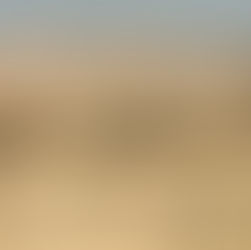 Close-up of the Temple Mount and the golden Dome of the Rock shimmering in the afternoon sun.