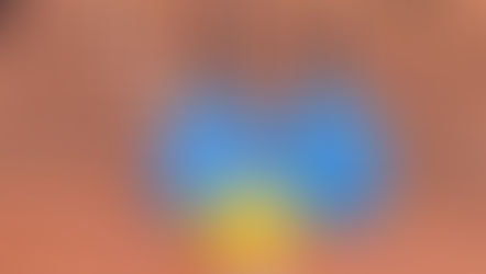 ピックルボール