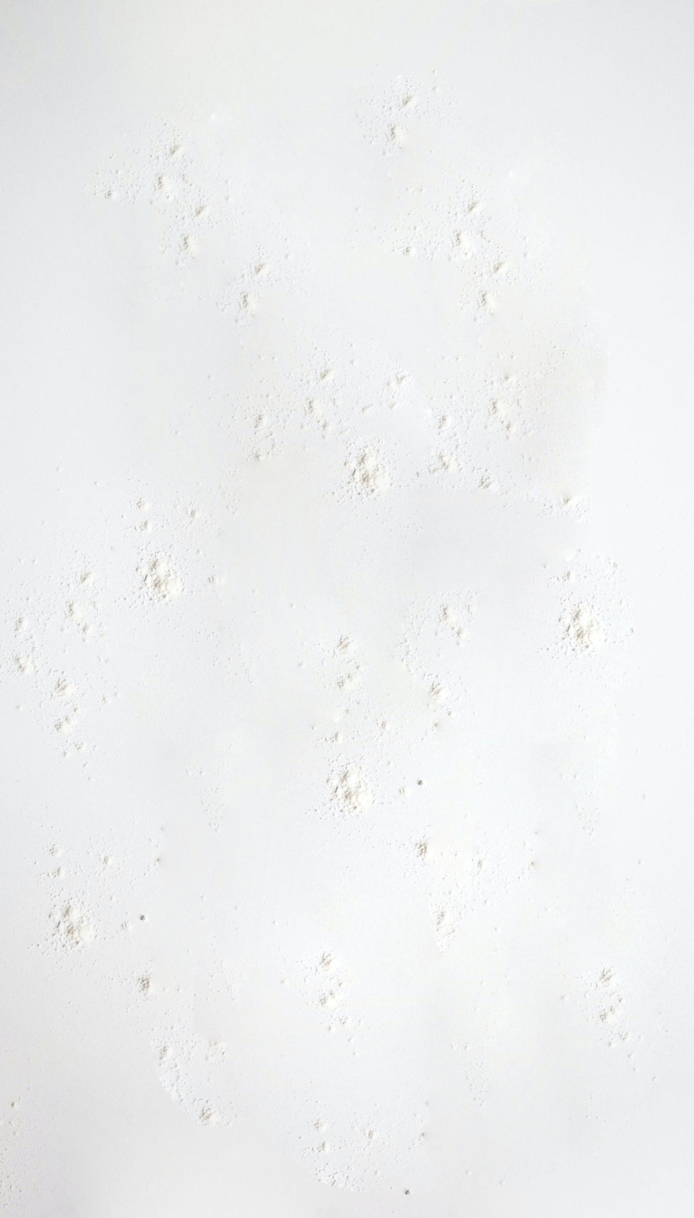 Image by Laura Mitulla