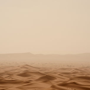 Chapter 6: The Promised Land (Part 2)