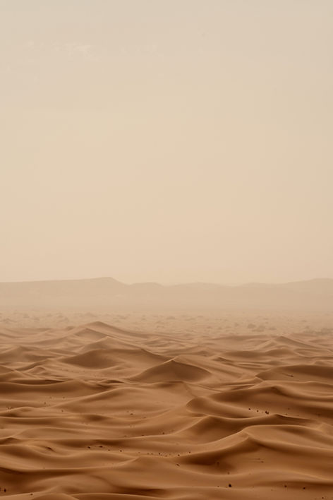 Image by Wolfgang Hasselmann