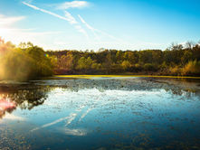 Healthy Snacks to Pack for the Lake