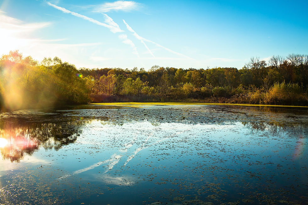 Sunny lake scene with a reflective water surface, surrounded by green trees under a clear blue sky. Light flares create a warm, serene mood.